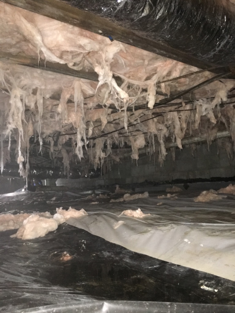Crawl Space insulation pikeville kentucky
