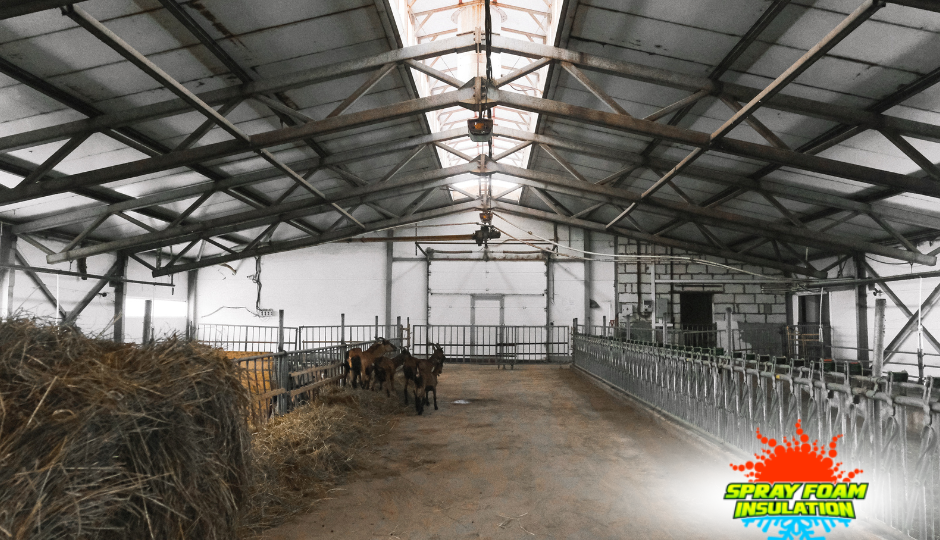 Pikeville Spray Foam Insulation 3