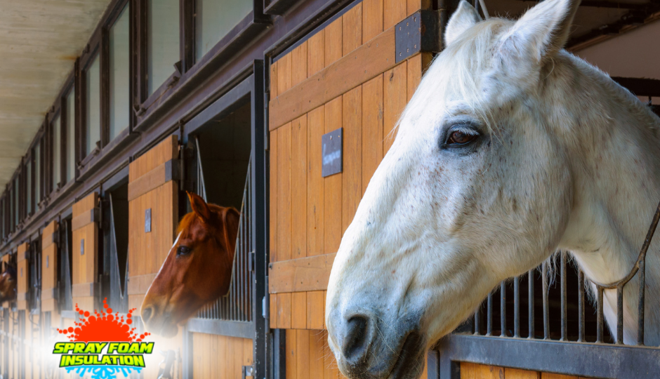 Spray foam in Pikeville KY