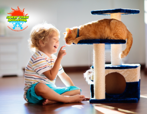 is spray foam safe for kids and pets? Pikeville makes sure to install and process safely.