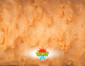 open-cell spray foam vs. closed-cell spray foam insulatoin